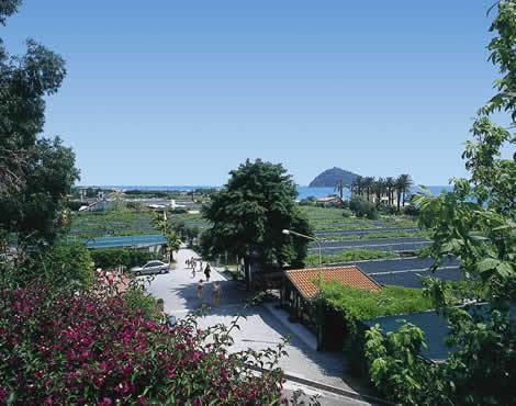 Camping Delfino Albenga Eksteriør bilde